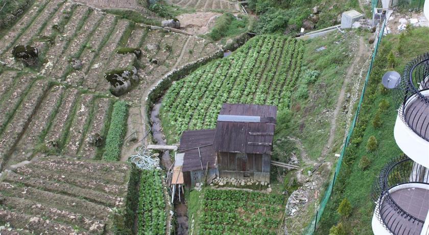 Rose Apartment Kea Farm Cameron Highlands Luaran gambar